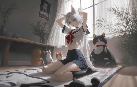 高评分经典动漫